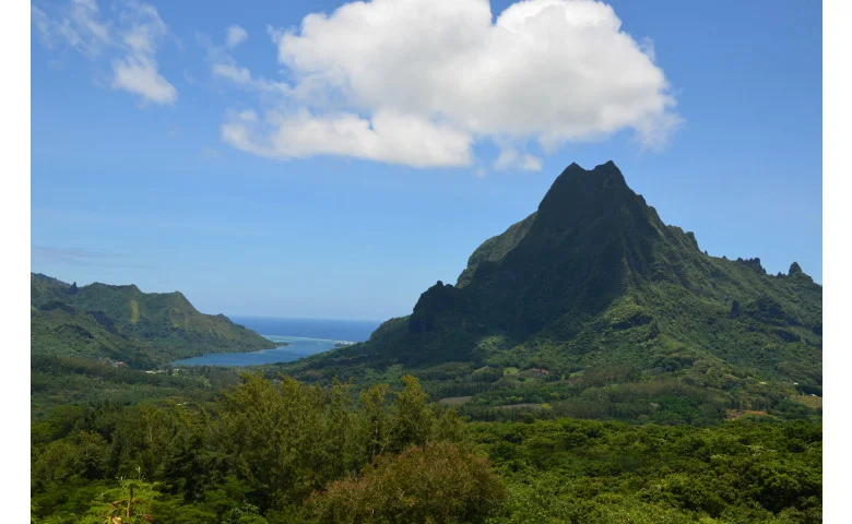 Island Tour Featuring Belvedere Lookout